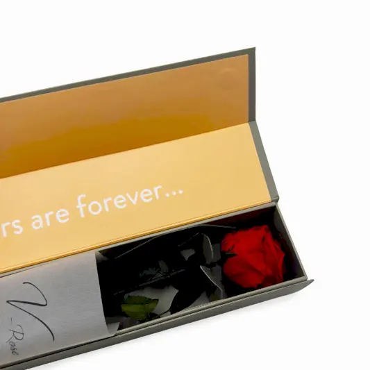 Red Infinity Rose Long Stem in Luxury Case
