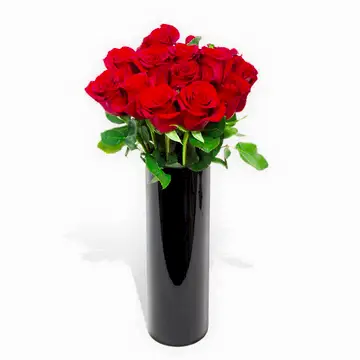 Red Roses