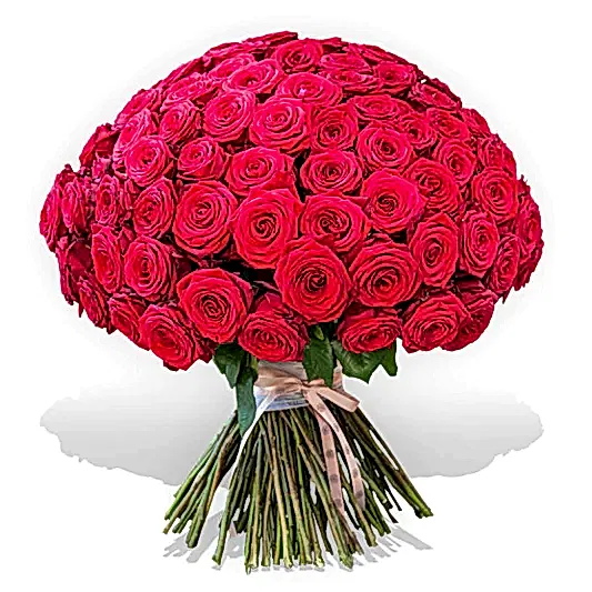 501 Red Roses Bouquet