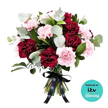 Carnation Crush