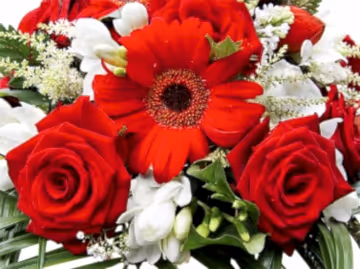 Red and White Funeral Spray