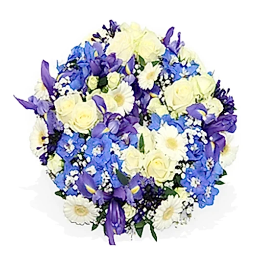 Classic White and Blue Posy