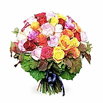 Sunshine Rose Mix