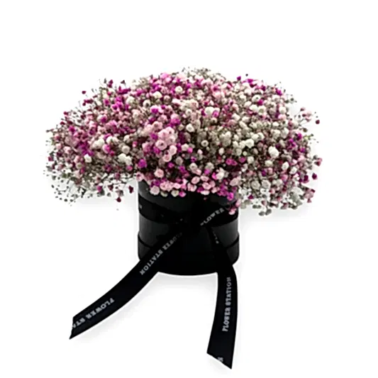 Baby’s Breath in a Black Hat Box