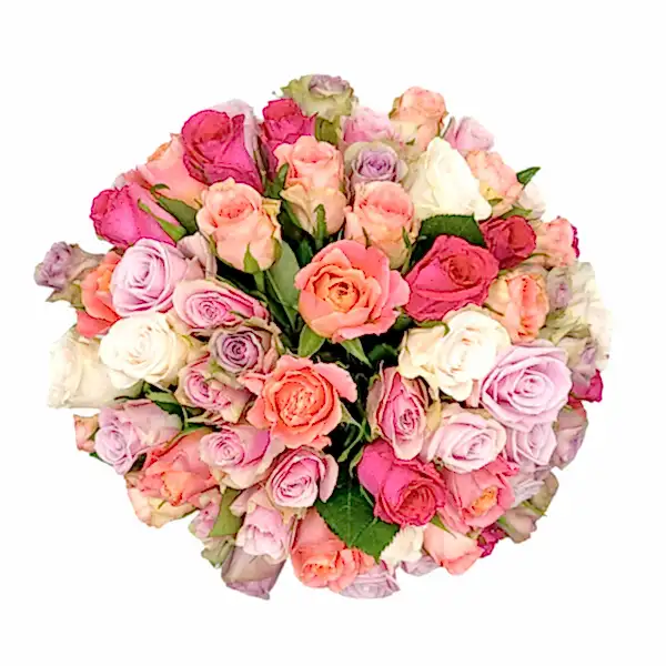 Cherished Rose Mix