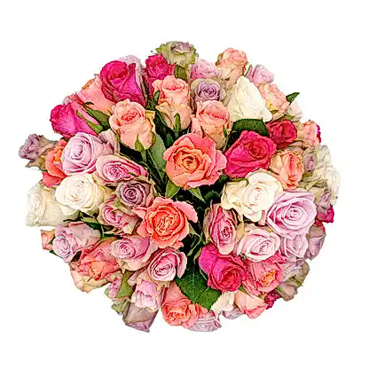 Cherished Rose Mix