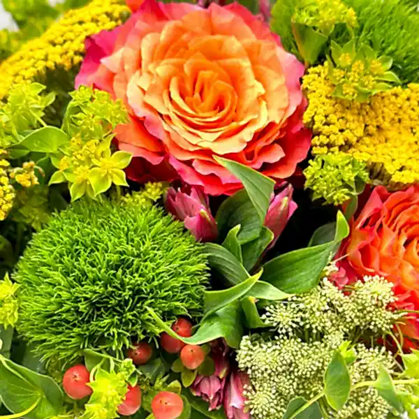 Citrus Radiance