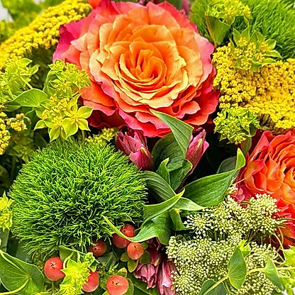Citrus Radiance