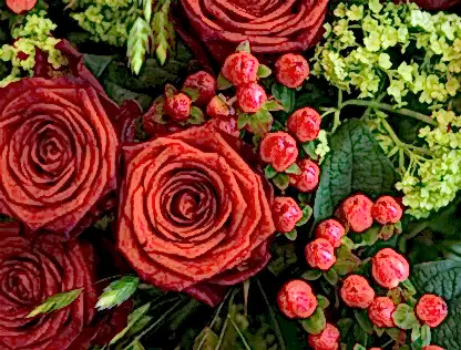 Rose Garden