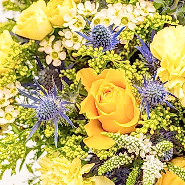 Hello Yellow