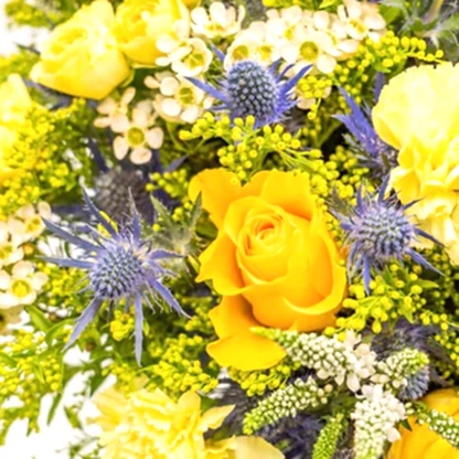 Hello Yellow