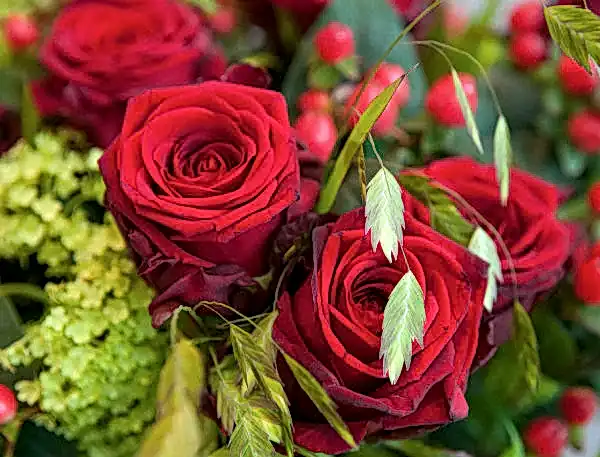 Rose Garden