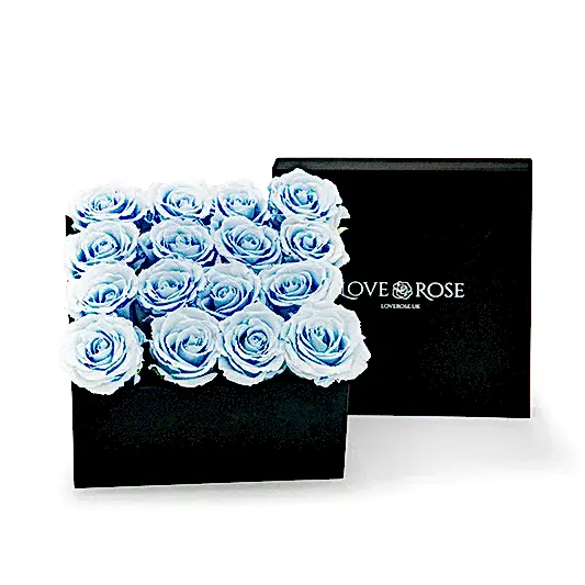 Infinity Blue Roses in a Black Box