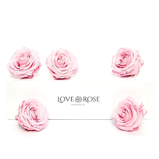 5 Infinity Pink Roses in a White Box