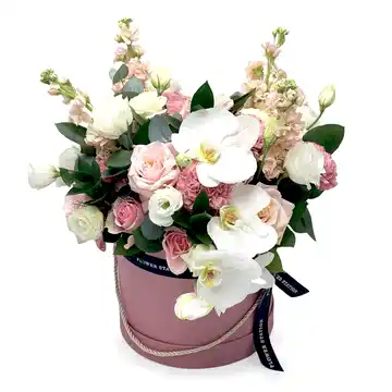 Orchid Elegance in a Pink Hat Box