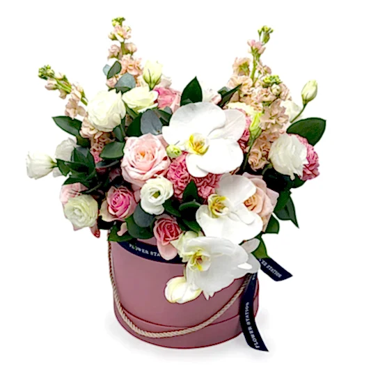 Orchid Elegance in a Pink Hat Box