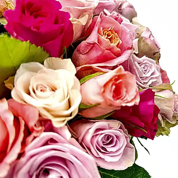 Cherished Rose Mix