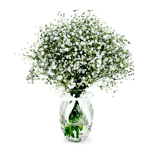 Baby's Breath in a Vase (Vase Included)