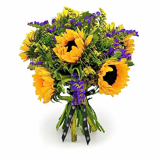 Sunflower Delight