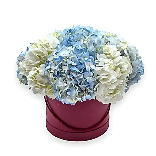 Hydrangeas in a Pink Hat Box