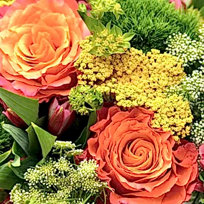Citrus Radiance
