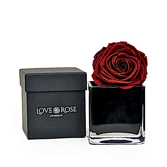 Single Red Rose Head in Luxury Vase