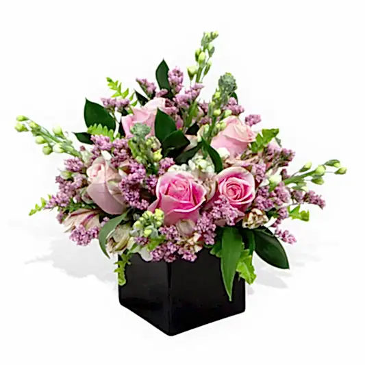 Stock and Rose