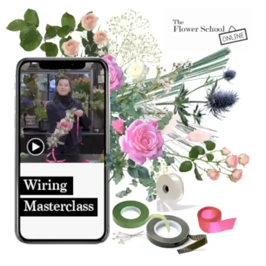 Wiring Masterclass -  Materials Set