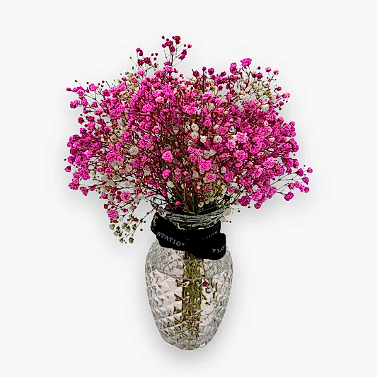 Pink baby's breath in a vase (Vase Included)