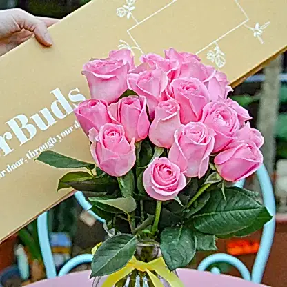 16 Pink Roses