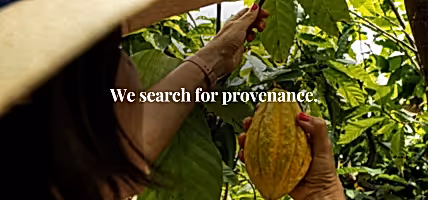 we search for provenance