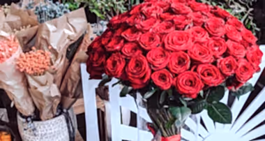 Roses