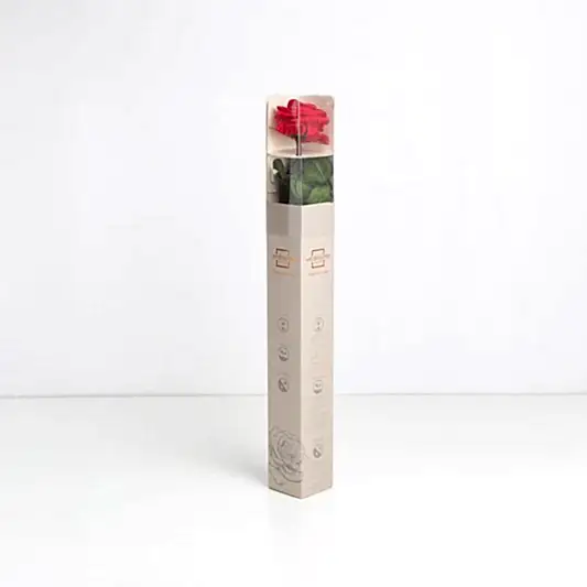 Red Infinity Rose Long Stem