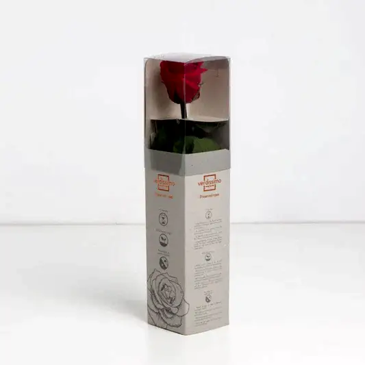 Red Infinity Rose Short Stem