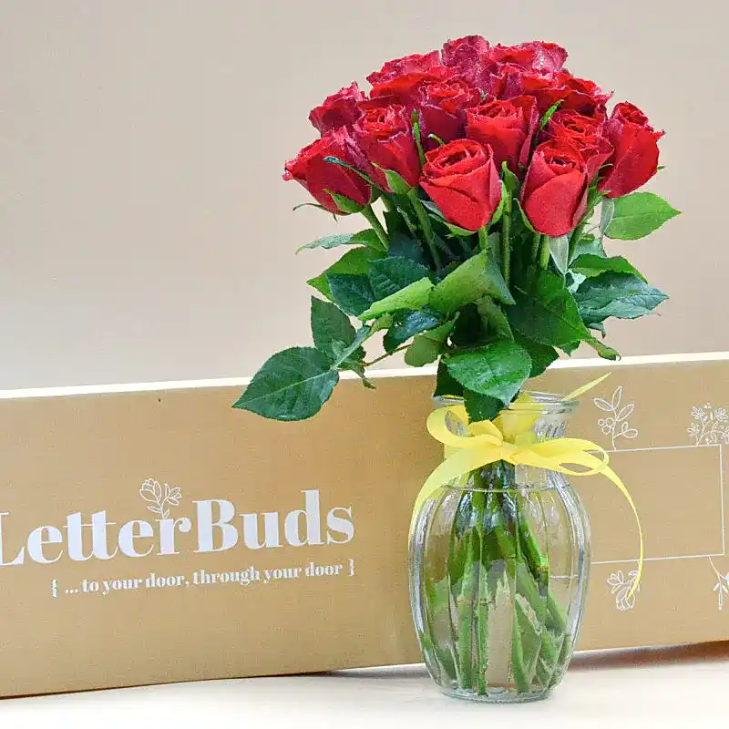16 Red Roses