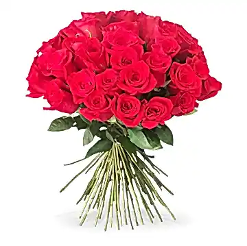 50 Long Stem Red Roses