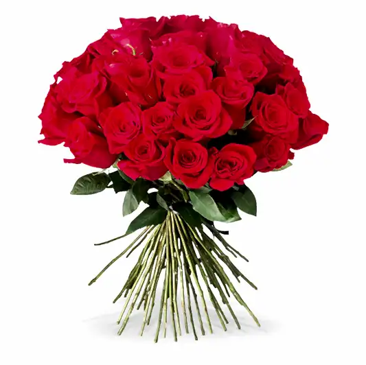 50 Long Stem Red Roses