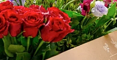 Why You'll Love Our Flower Subscription