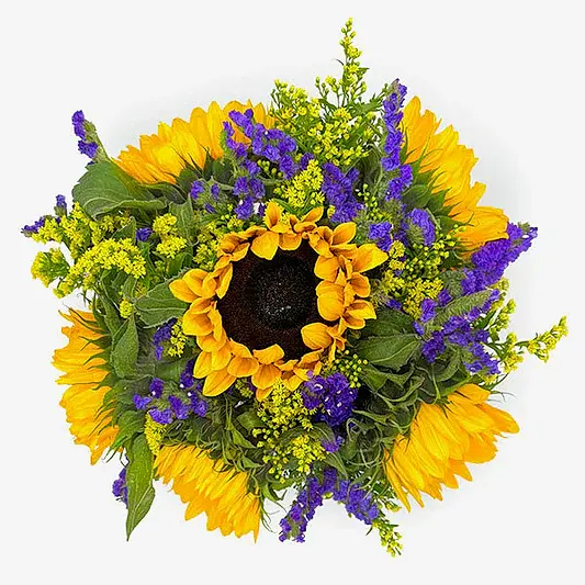 Sunflower Delight