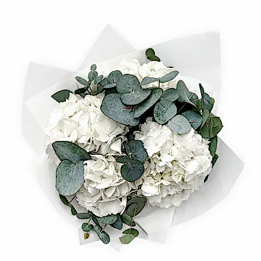 White Hydrangea and Eucalyptus Bouquet