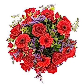 Radiant Reds