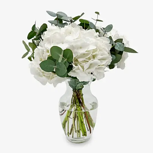 White Hydrangea and Eucalyptus Bouquet