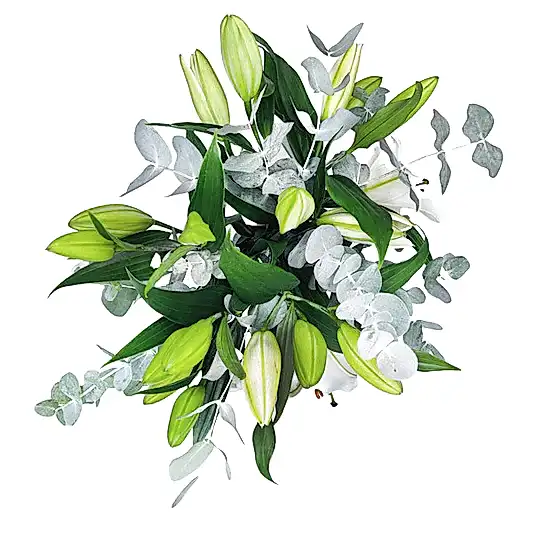 White Lilies in a Vase