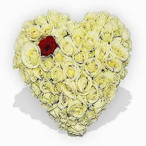 Heart Shaped Roses Tribute